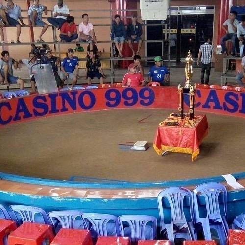 Đá gà 9999 - Huyền thoại giải trí hấp dẫn nhất thị trường ĐNA